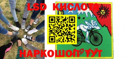 стаф Камышлов