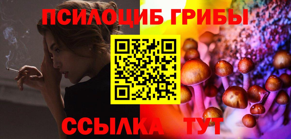 Кузнецк  Псилоцибиновые грибы Psilocybine cubensis  Вход с VPN 